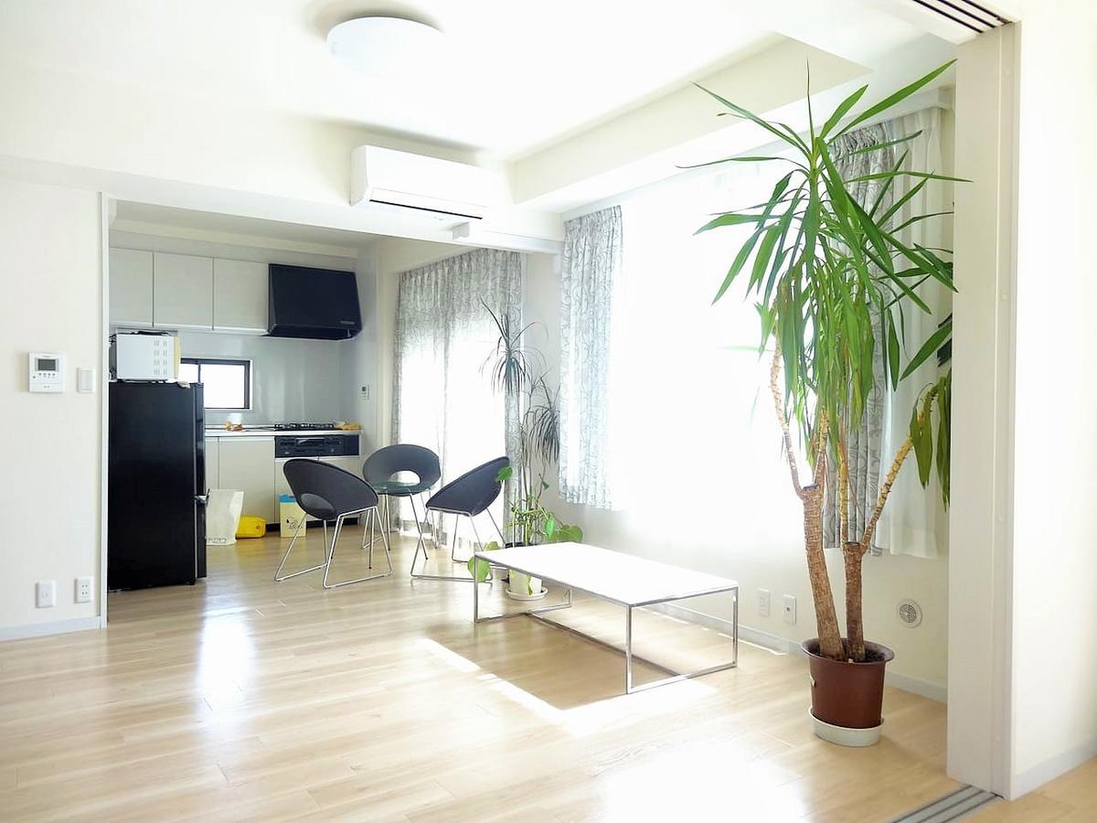 Stylish Condominium Ginza