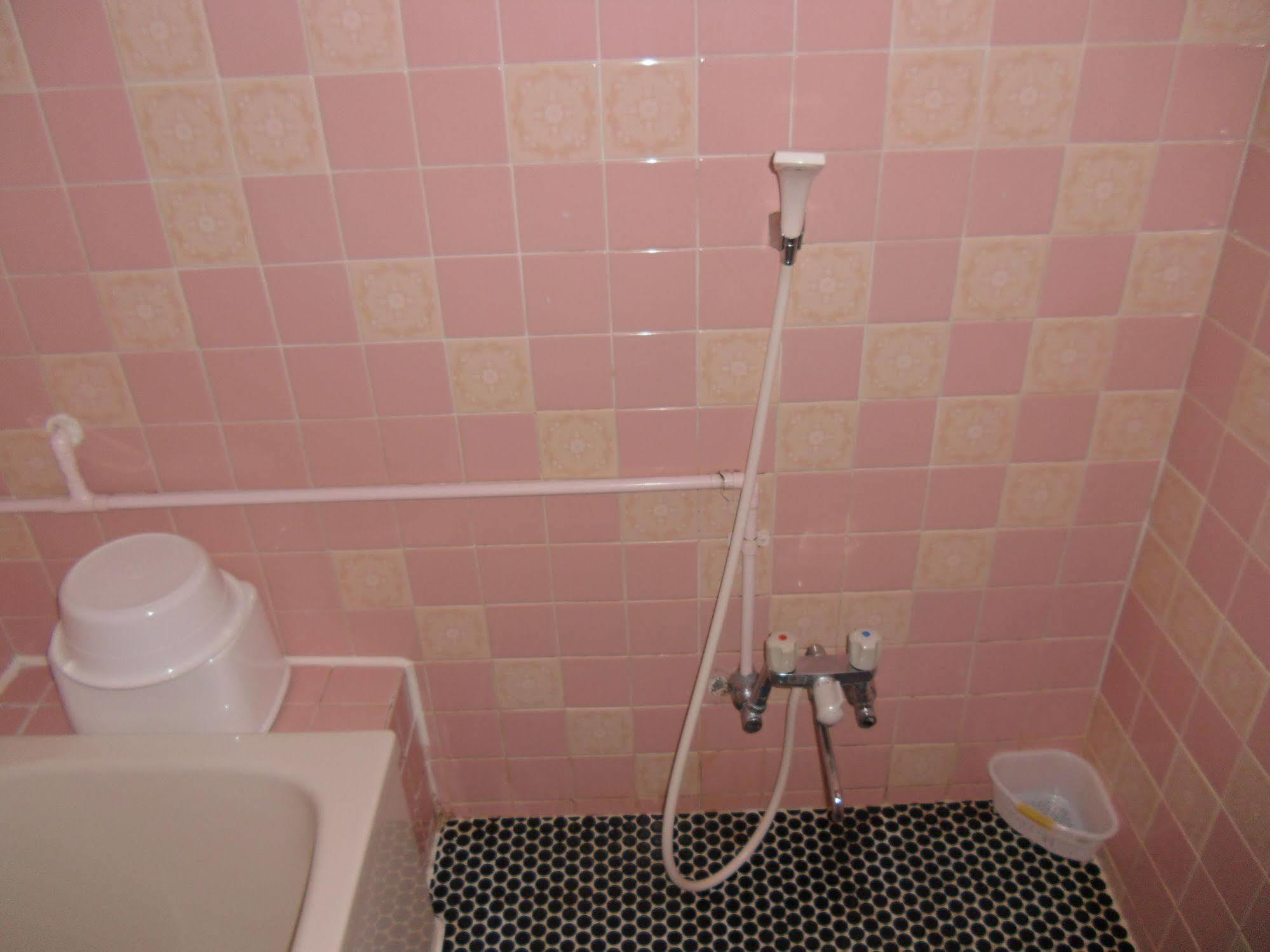 Shin Okubo Sekitei Hotel 2*