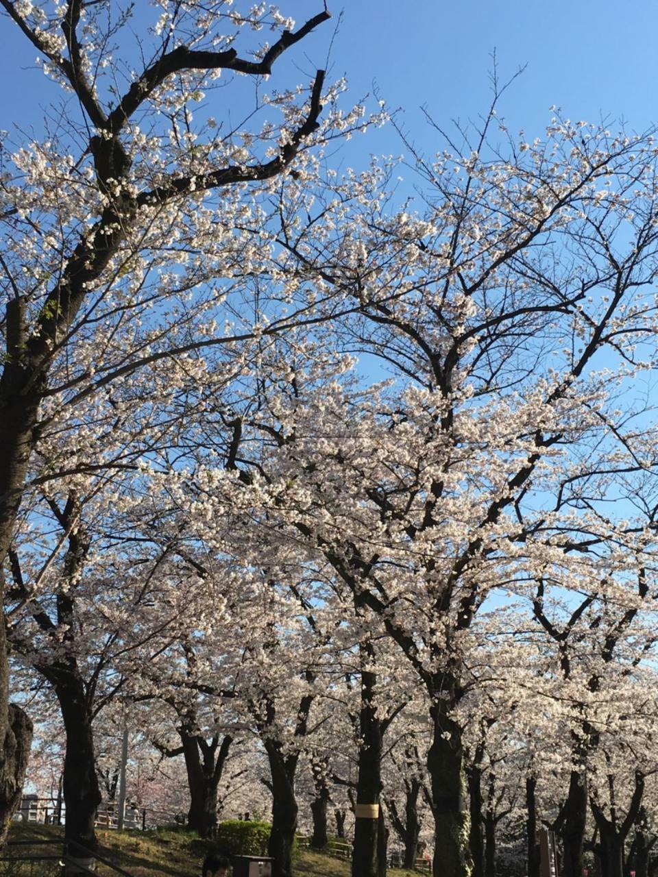 Nakadaya Tokyo
