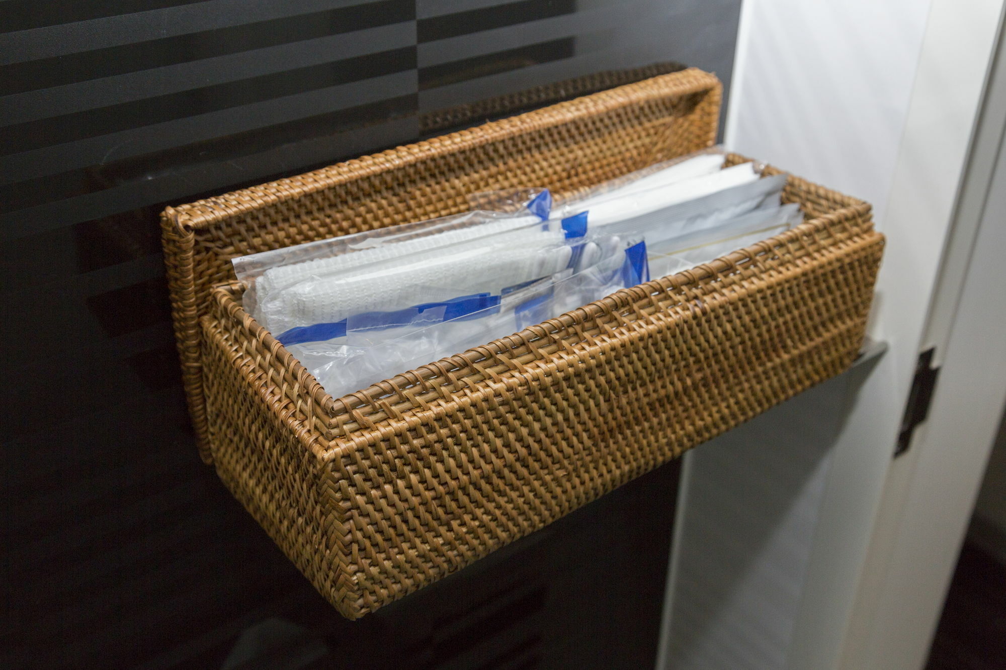 Ibis Styles Tokyo Ginza Hotel 3*