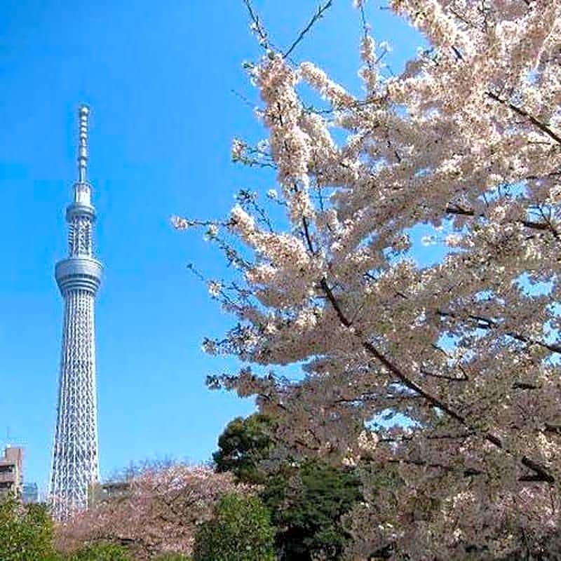 First Shinbashi Atagoyama