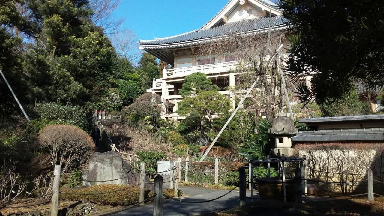 Meet Apartment