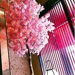 Sakura Sky Hotel - Vacation Stay 18449V