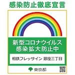 Sotetsu Fresa Inn Ginza Sanchome