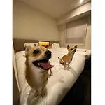 Ici Hotel Asakusabashi - Vacation Stay 71078V