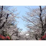 Hotel Sardonyx Ueno