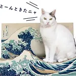 Small Villa Tokyo 渋谷まで2駅10分 青山一丁目駅徒歩3分一軒家ペット歓迎お子様歓迎駐車場あり6人までok
