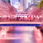 Shibuya Hana House