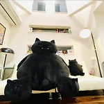Tanuki House No.1! Shinjuku! 1 Min To Stat, Over 100㎡