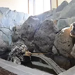 高級料亭のような雰囲気の宿。駅徒歩1分。最大21名様。友人や家族との素敵な時間に。無料wi-Fi。