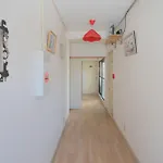 Akarenga House