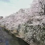 Close To Shinjuku!Twin Beds,Projector,Appliances!