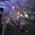 Nishisugamo Full Renovated House Next To A Cherry Blossom Park