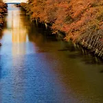 The Westin Tokyo