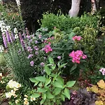 S & K Garden House