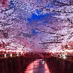 The Westin Tokyo