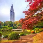 Shinjuku/Shin-Okubo Sta 2Min Walk/Kabukicho 5 Min