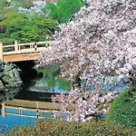 Shinjuku/Shin-Okubo Sta 2Min Walk/Kabukicho 5 Min