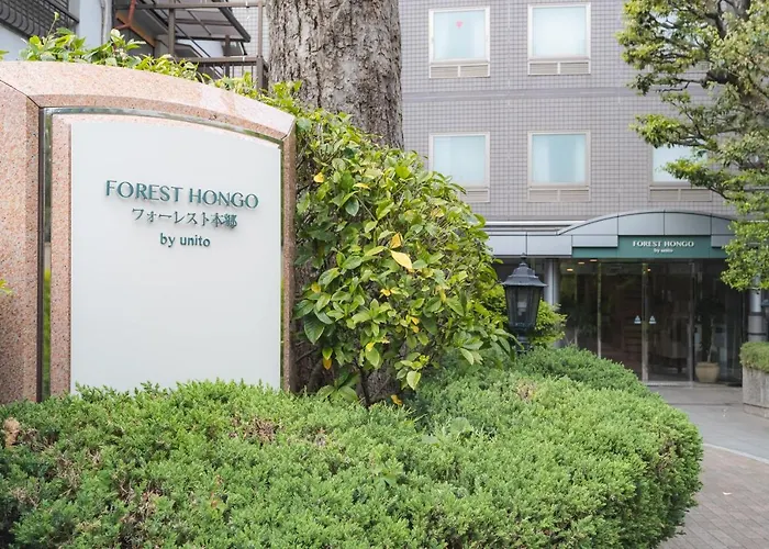 Forest Hongo By Unito
