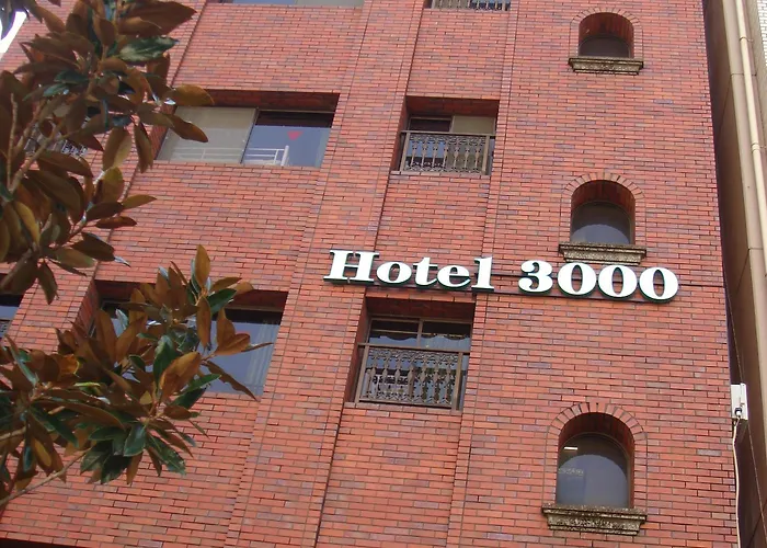 Akihabara Hotel 3000