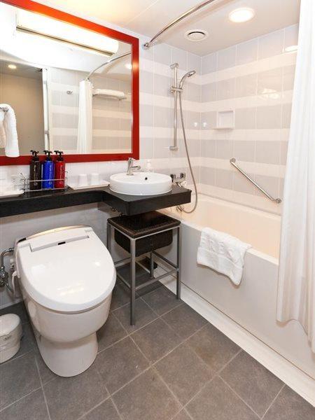Hotel Sotetsu Fresa Tokyo-akasaka 3*
