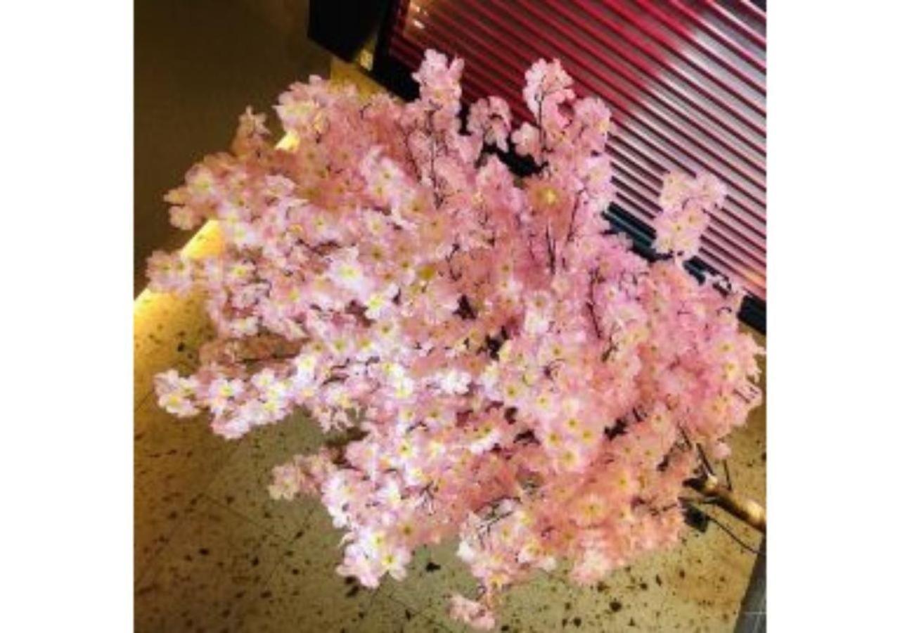Sakura Sky - Vacation 18449v