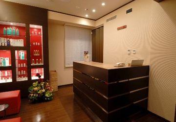 Sotetsu Fresa Tokyo-akasaka Hotel 3*