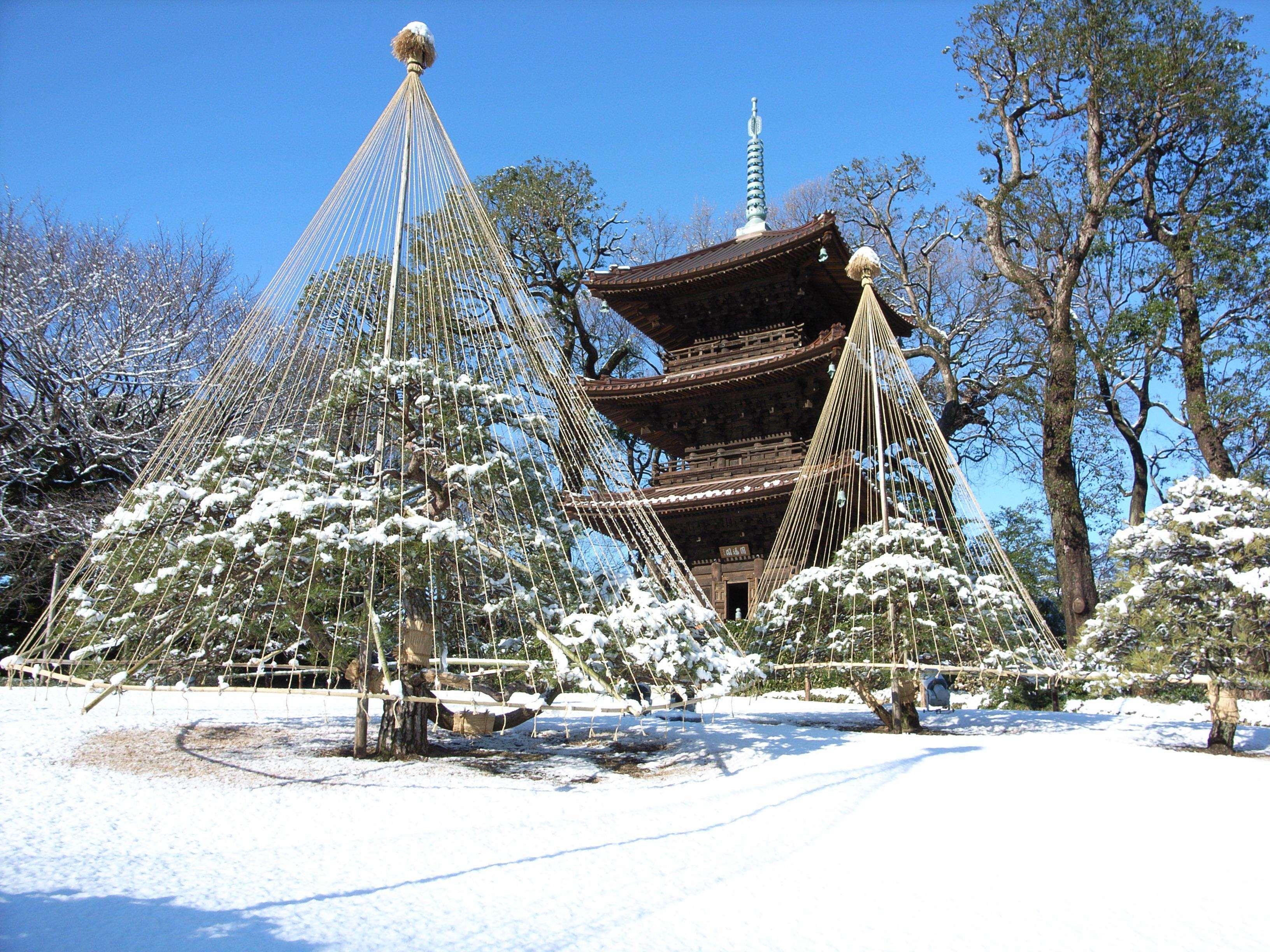 Chinzanso