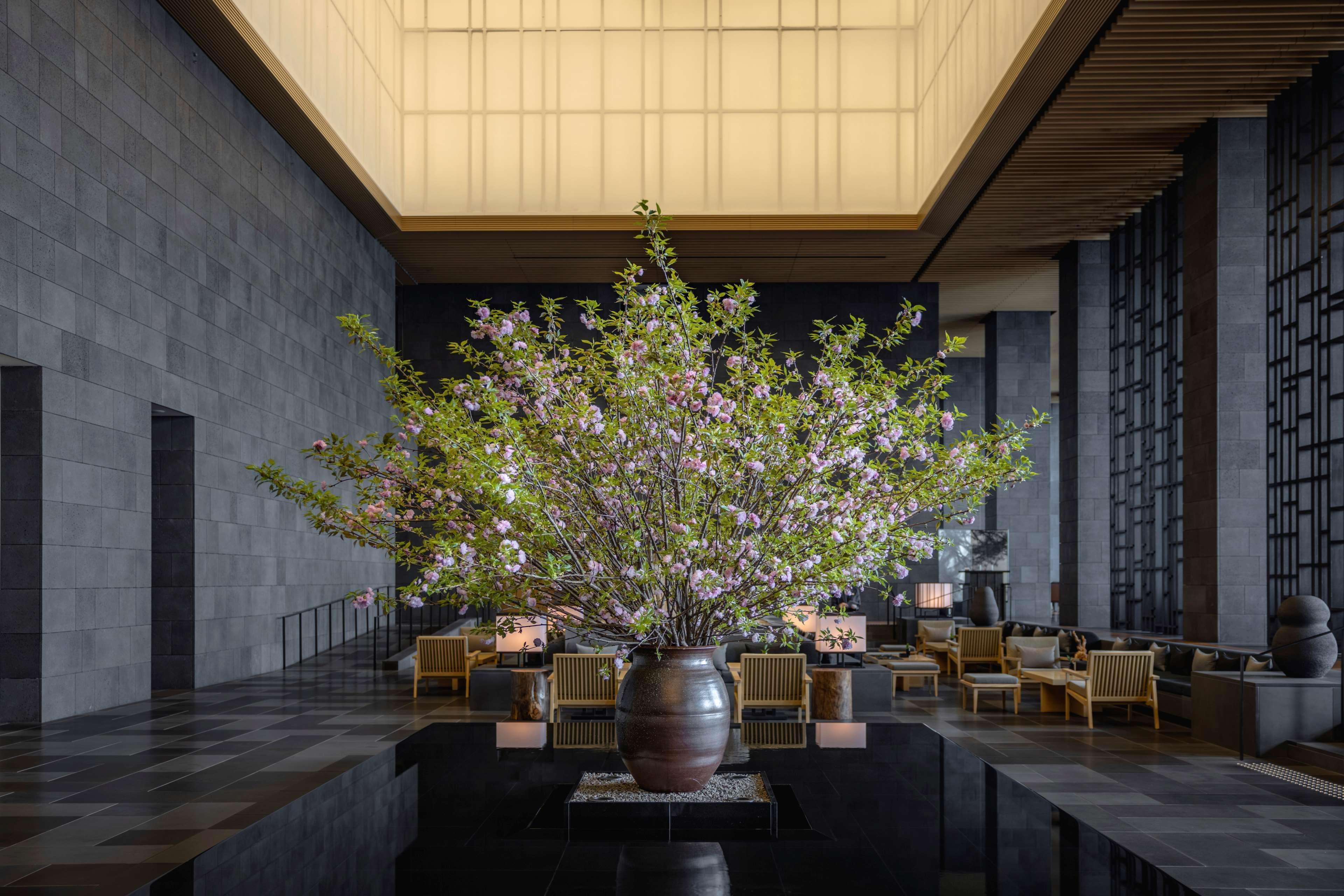 Hotel Aman