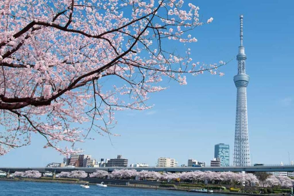 Apartment Tokyo's Spot Shibuya! 3person Free Wi-fi Tokyo
