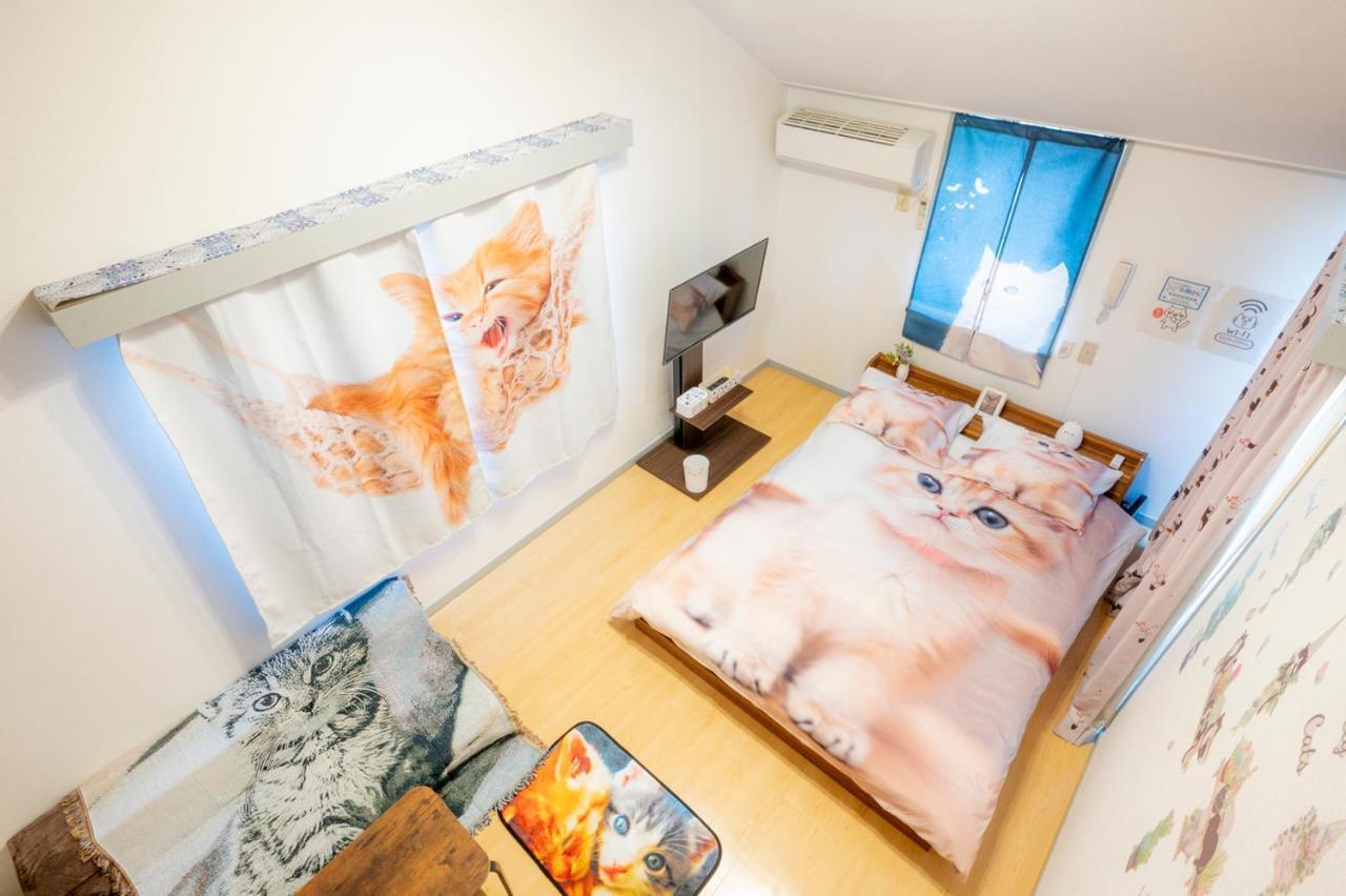 Shibuya Shinjyuku Cat House ! Tokyo