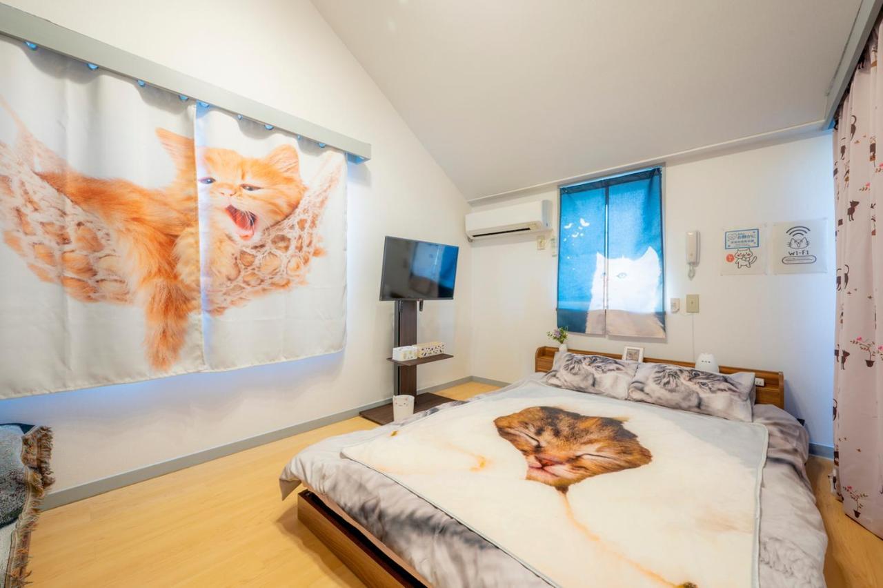 Shibuya Shinjyuku Cat House ! * Tokyo