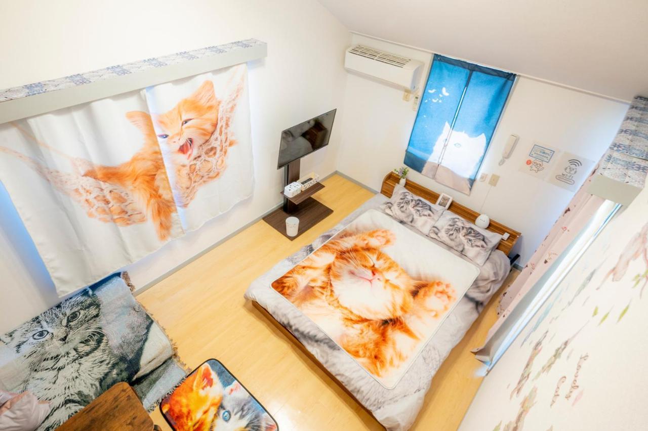 Shibuya Shinjyuku Cat House ! *