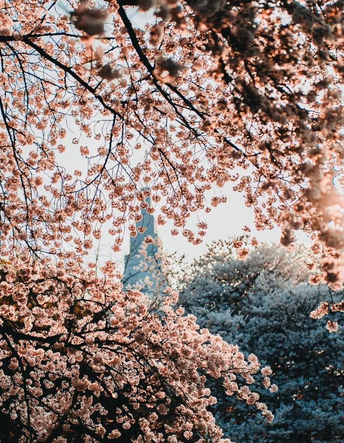 Season Aparthotel Tokyo