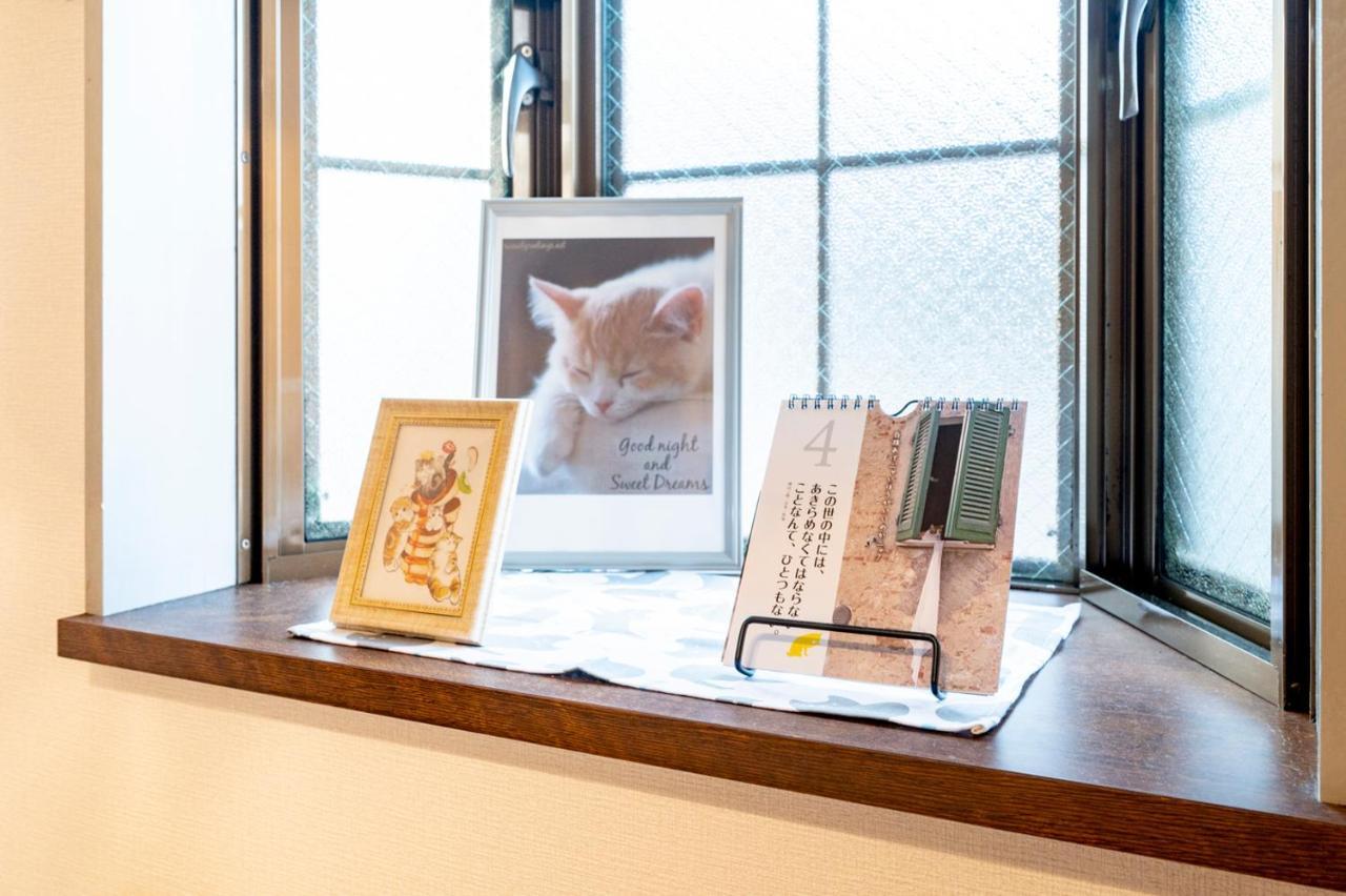 Shibuya Shinjyuku Cat House !