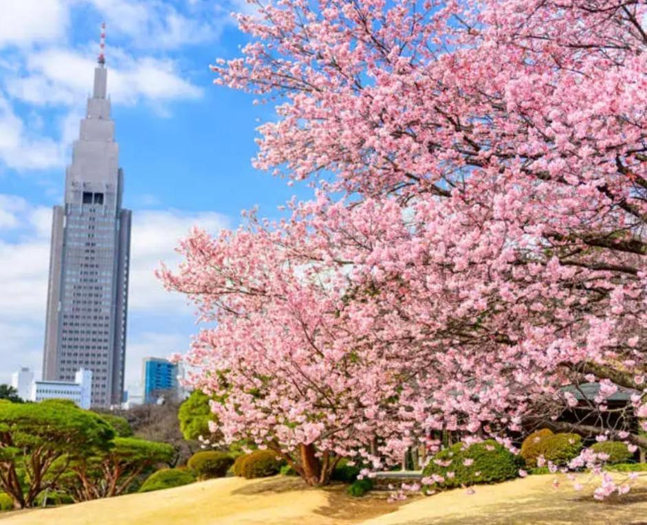 Apartment 62新宿商圈 新宿御苑1分-shinjuku Area Japanese Style Max 5p Tokyo