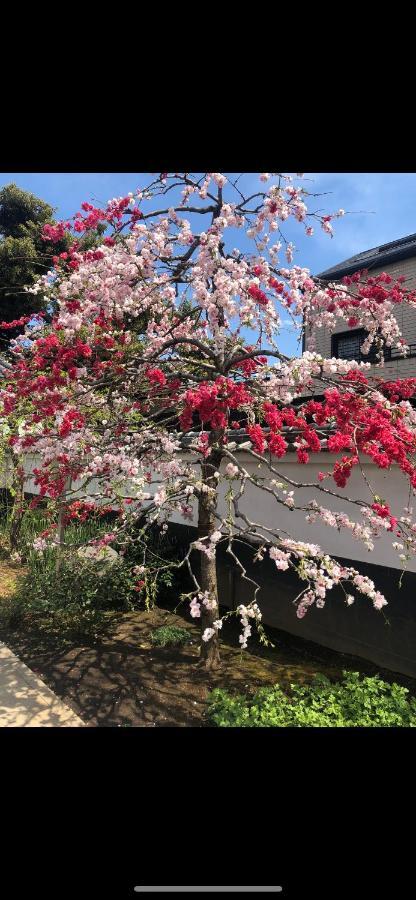 Apartment 桜宿28 Square Meter King Size Bed With Sofa Bed, Garden Tokyo