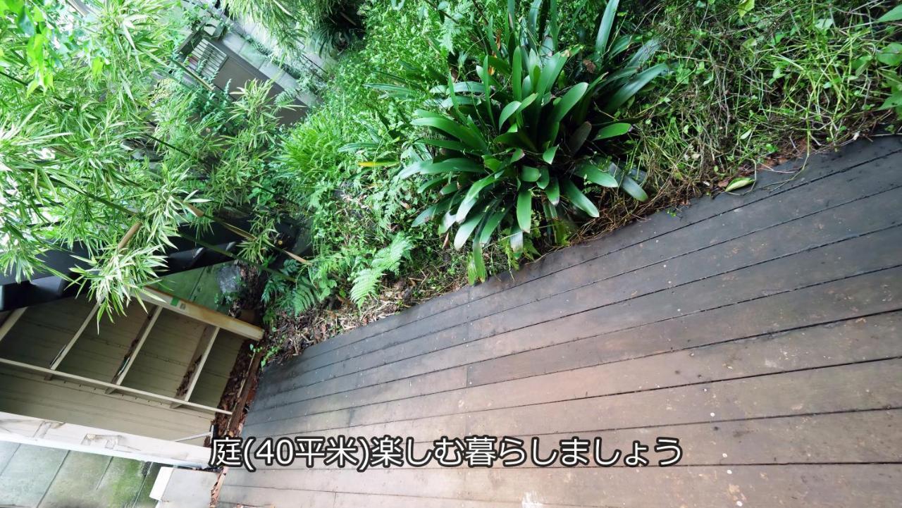 7ppl Shinjuku Gyoen丶 National Garden丶 Kabukicho丶 Shinjuku Station丶 Golden Gai丶 Metropolitan Government Building Yos4 * Tokyo