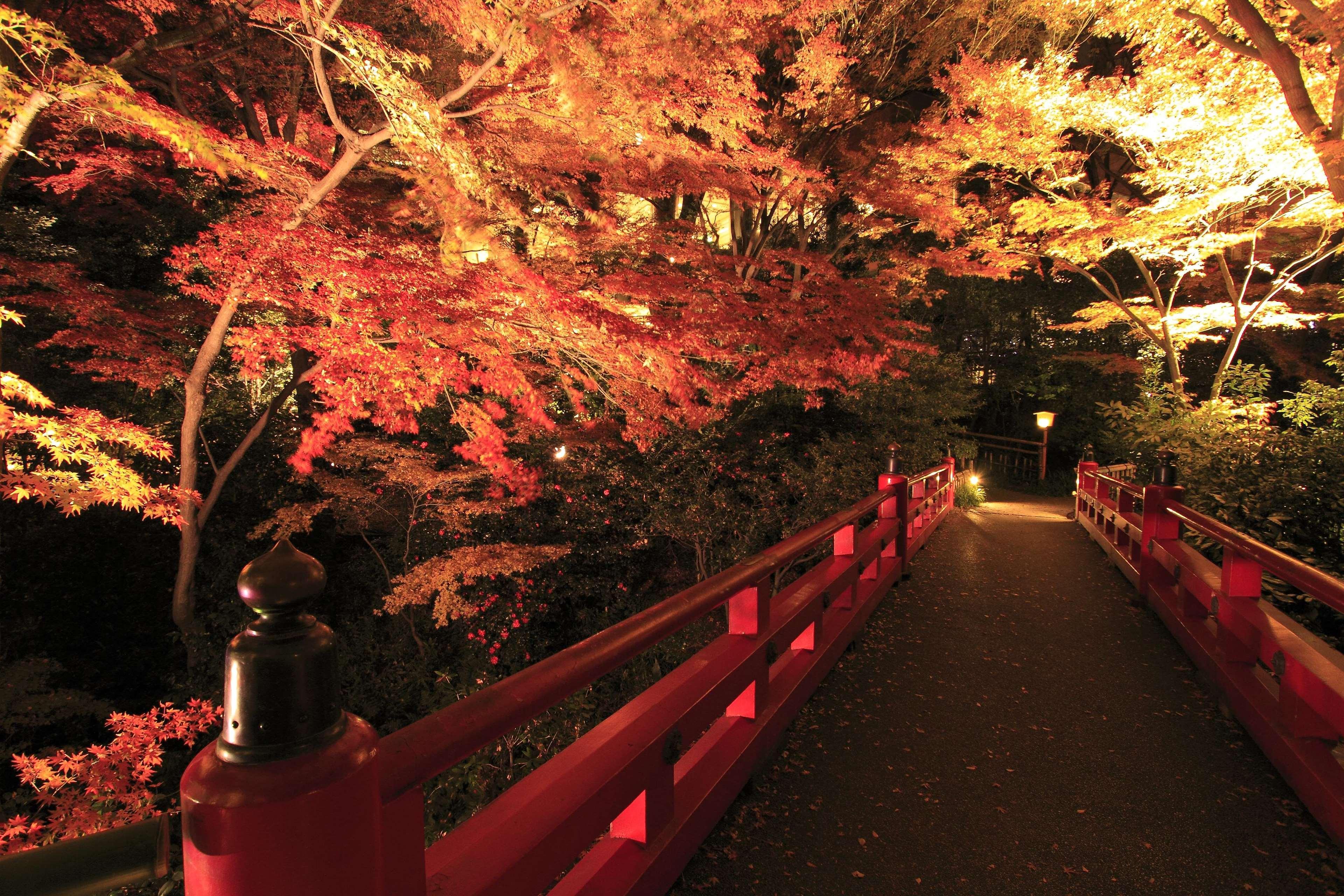 Chinzanso 5* Tokyo