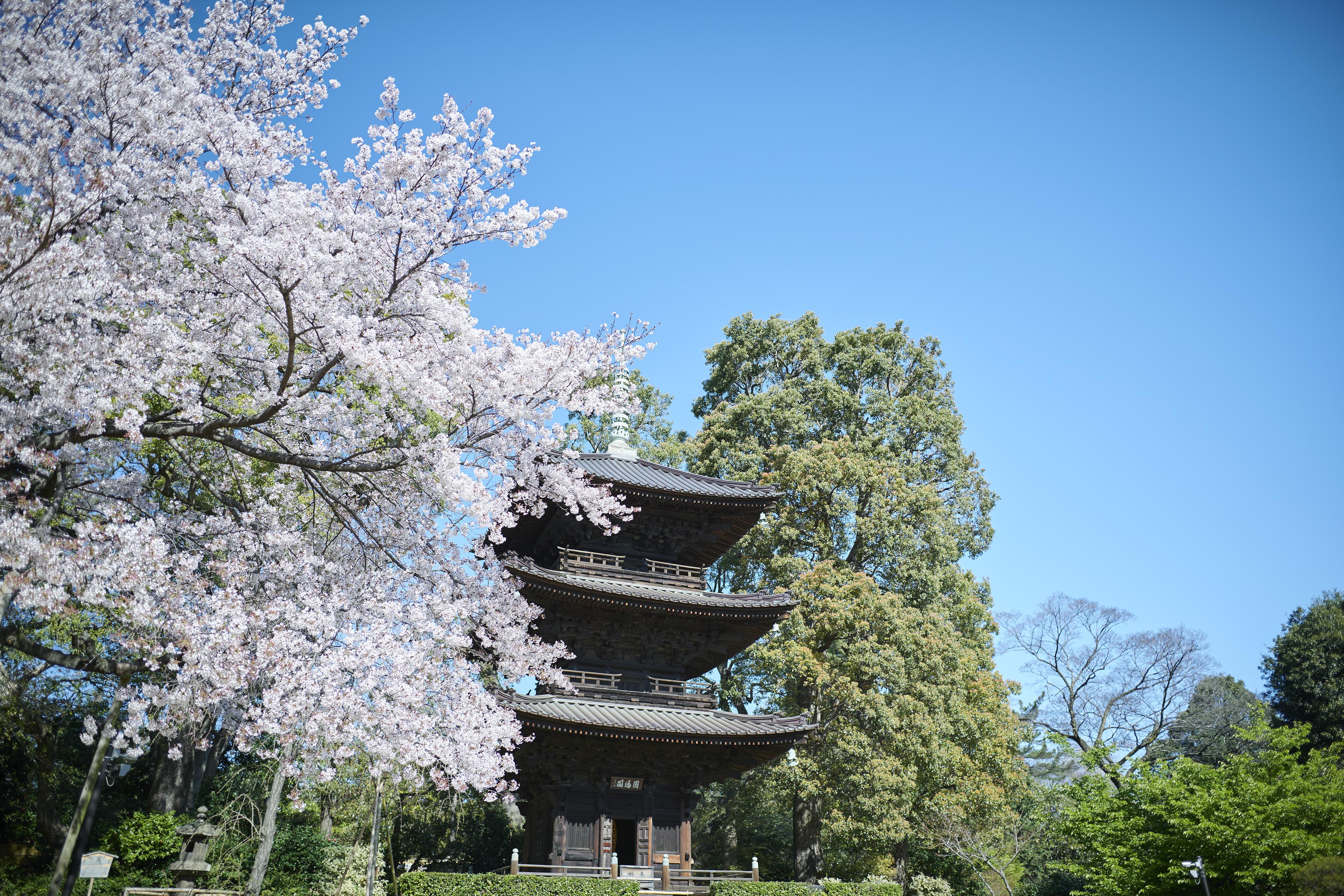 Chinzanso Tokyo