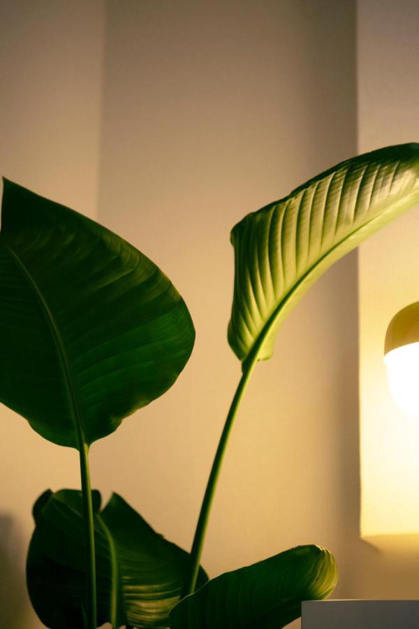 #9 3mins To Station 1stop To Shinjuku Stylish With Plenty Of Sunlight Apartment