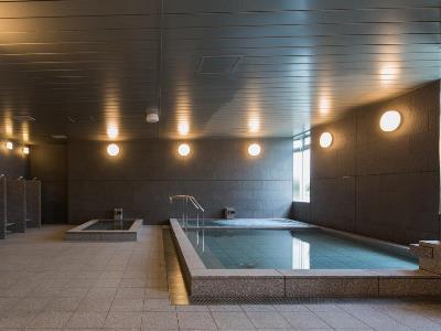 Hotel Nihon Seinenkan Tokyo