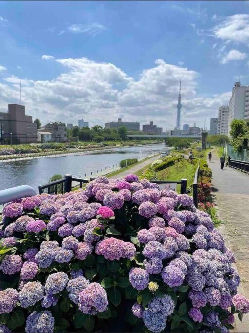 Apartment Jing Space: Convenient Urban Near Airport Tokyo