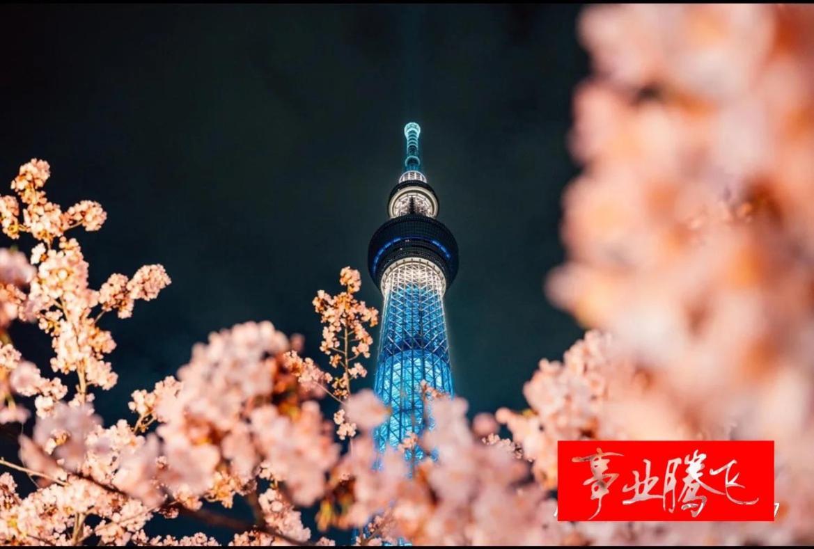 Sky House 晴空塔103 Apartment Tokyo