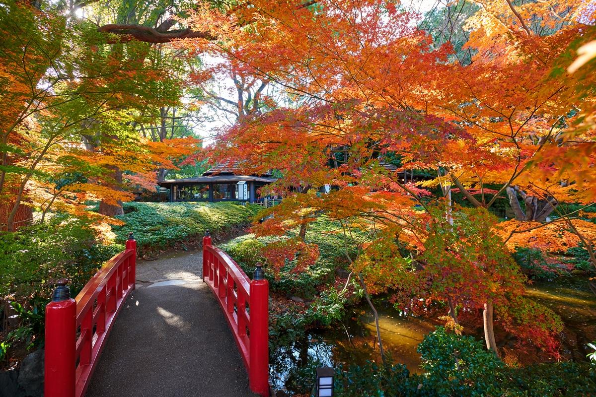 New Otani Executive House Zen 5*