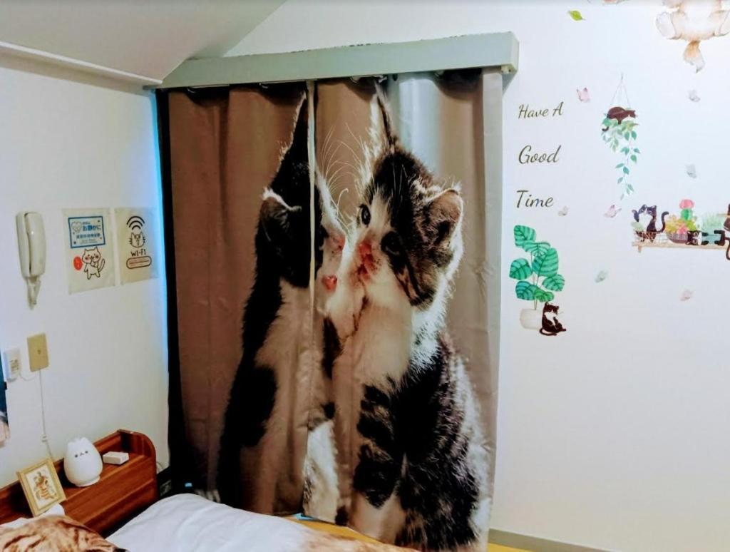 Shibuya Shinjyuku Cat House ! Apartment *