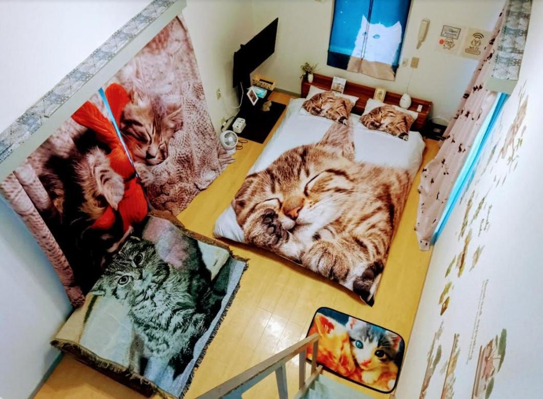 Apartment Shibuya Shinjyuku Cat House ! Tokyo