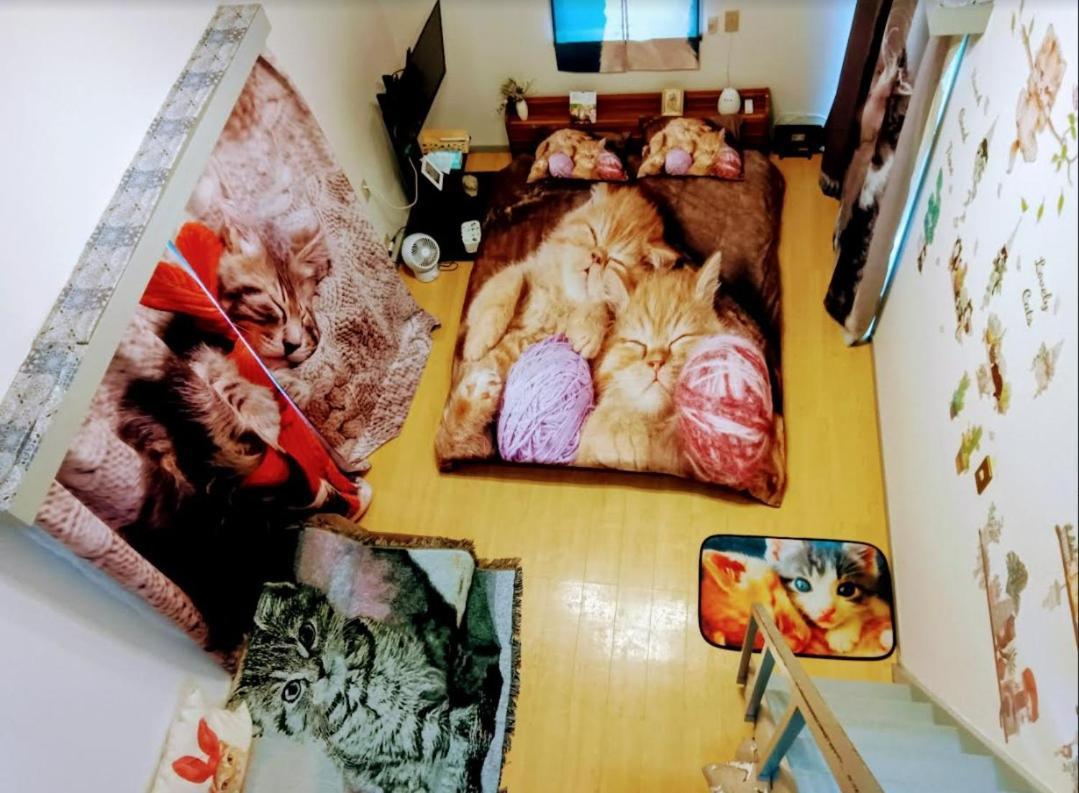 Shibuya Shinjyuku Cat House ! Tokyo