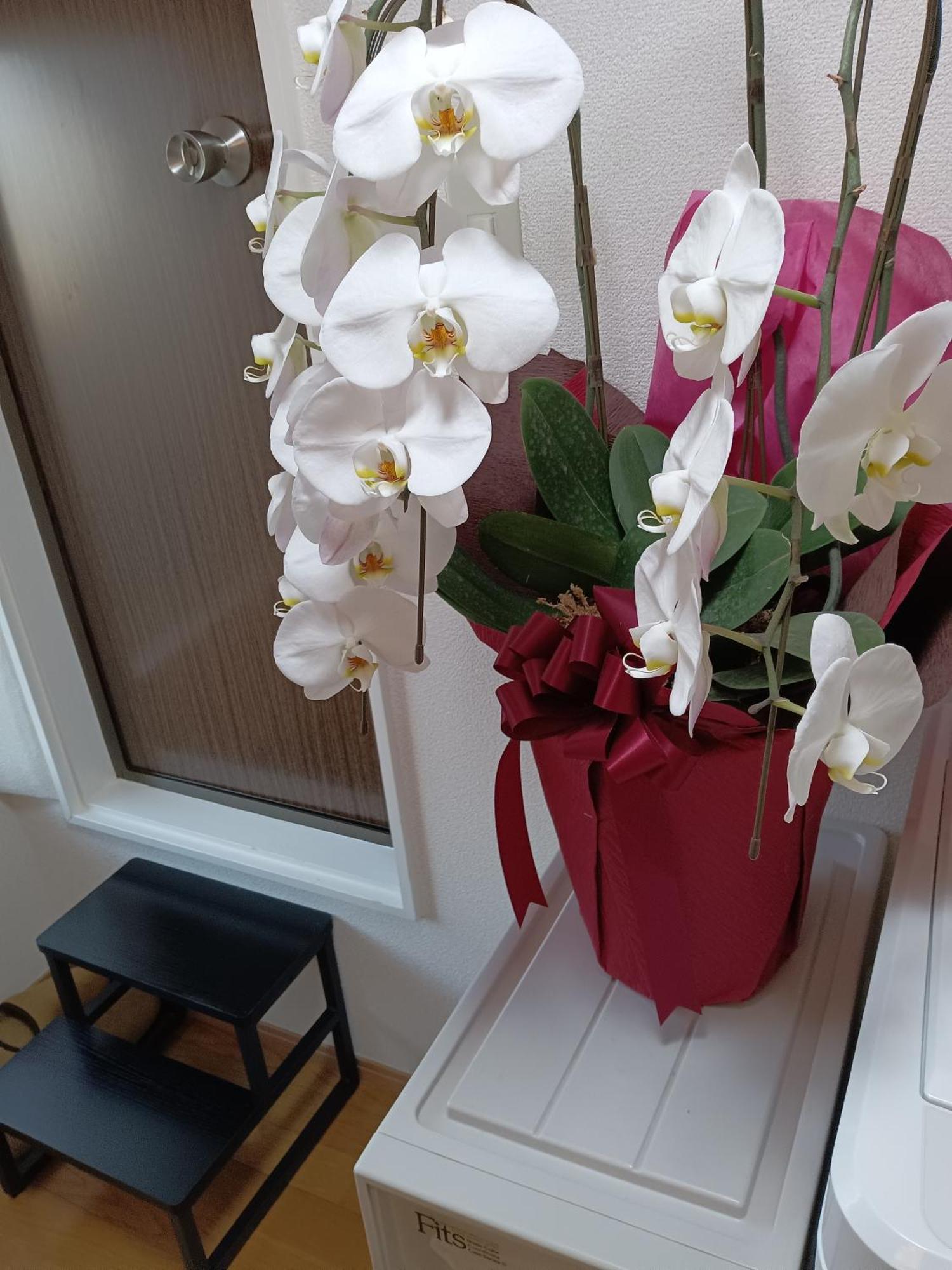 Downtown牡丹莊 Holiday home *