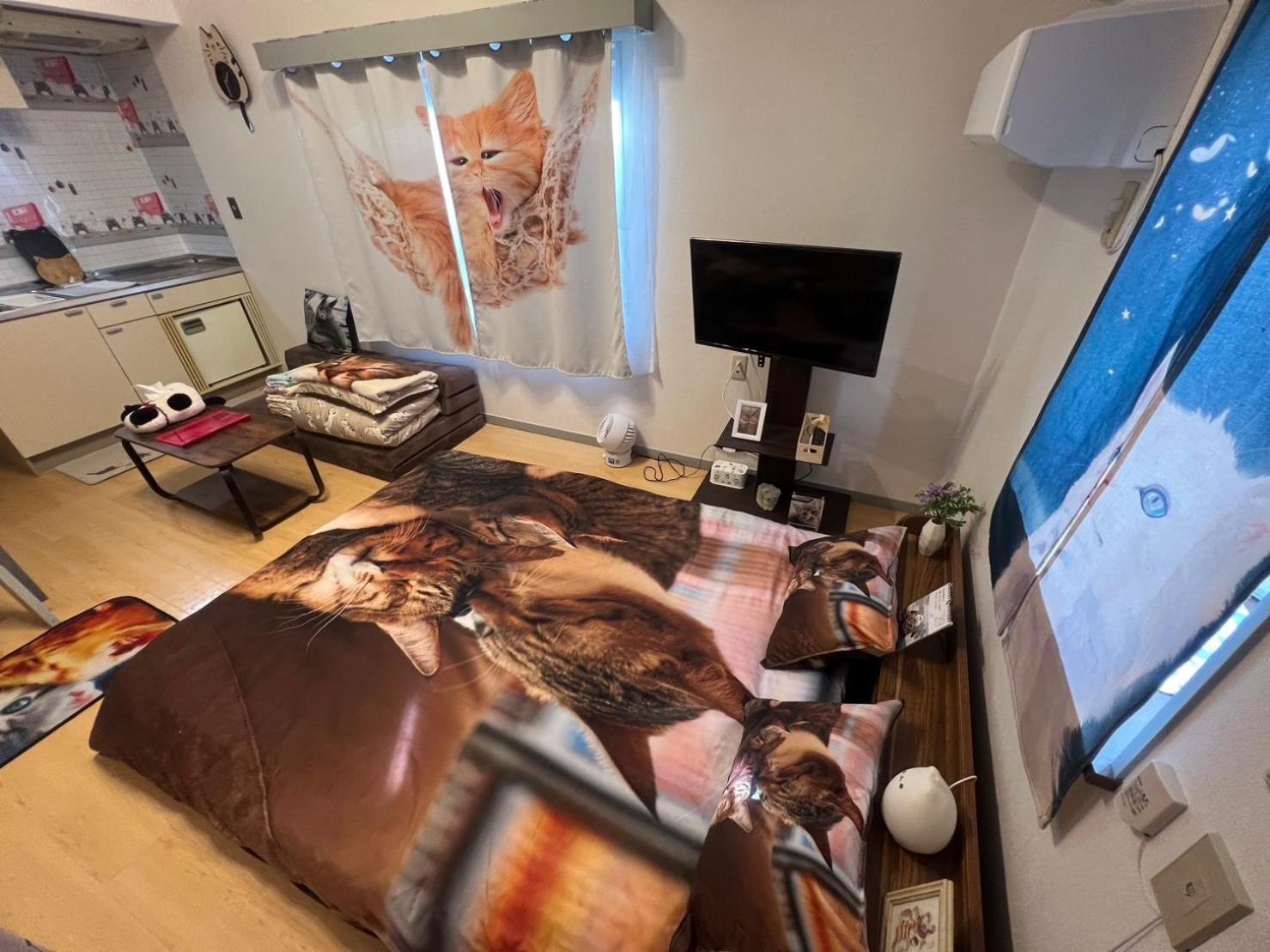 Shibuya Shinjyuku Cat House ! * Tokyo